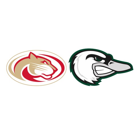 Hollenbach Gameday: L�beck Cougars - Hamburg Swans - L�beck - 06.06.2026 18:00