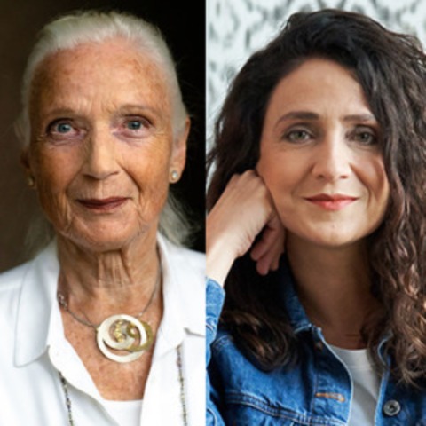 Zuversicht (1/4) - Hamburg - 13.04.2026 19:30