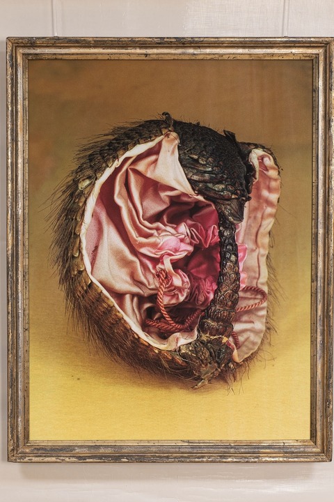 Vernissage Oliver Kuttruff: 'quaint things', Fotografie - Freiburg - 07.05.2026 18:00