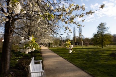 „Wer kennt wen?“ - Die B�ume im Botanischen Garten G�tersloh - G�tersloh - 25.04.2026 14:00