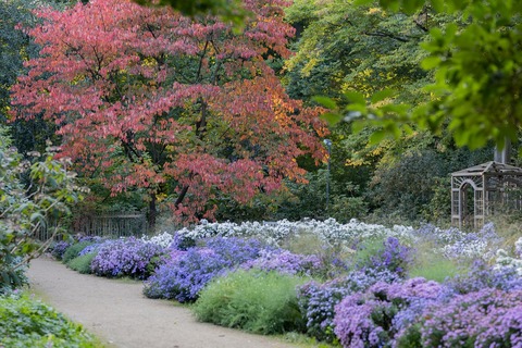 „Wer kennt wen?“ - Die B�ume im Botanischen Garten G�tersloh - G�tersloh - 30.09.2026 18:30