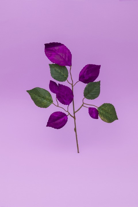 BLUTBUCH - Schauspiel nach dem Roman von Kim de l`Horizon - Berlin - 30.05.2026 20:00