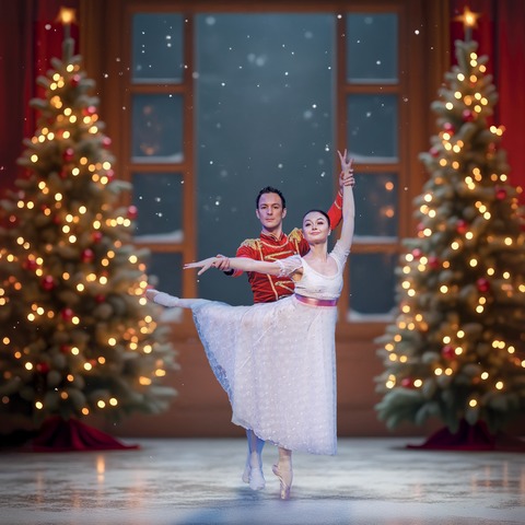 Der Nussknacker - klassisches Ballett f�r die ganze Familie - Gotha - 08.12.2026 19:00