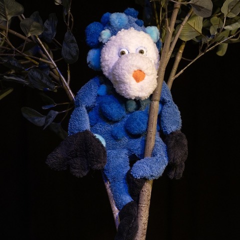 Flausch - Hessisch Lichtenau - 20.06.2026 16:00