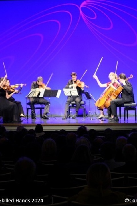 Internationales Violinfestival junger Meister | Young Spirit - Skilled Hands - Memmingen - 09.04.2026 19:30