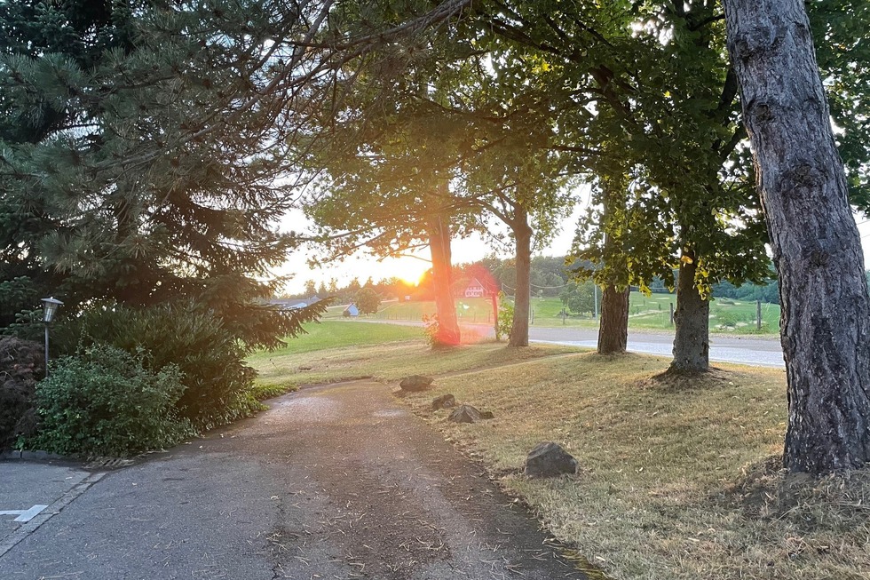 Gasthaus Eiche - Lahr
