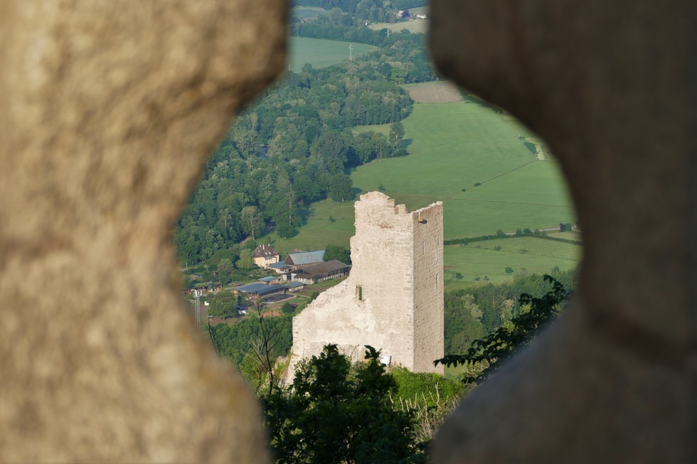 Rundwanderung zur Ortenbourg - Scherwiller