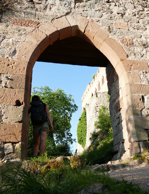 Rundwanderung zur Ortenbourg - Scherwiller