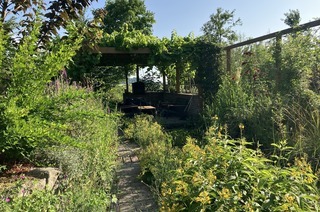 Mehr Natur im Hausgarten.