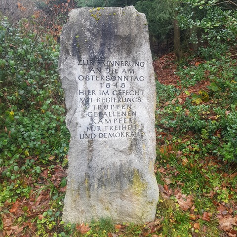 Freiburg als Ort der Demokratiegeschichte - Freiburg - 21.03.2026 12:00