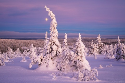 2026 Seminare �horizonte zingst� - Die f�nf Elemente der Landschaftsfotografie - Zingst - 04.06.2026 13:00