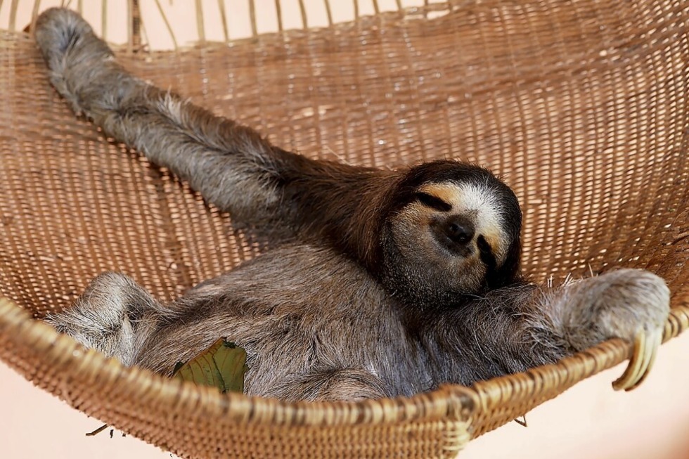 Tobias Hauser spricht bei Mundologia �ber die aktuelle Lage in Kuba - Badische Zeitung TICKET