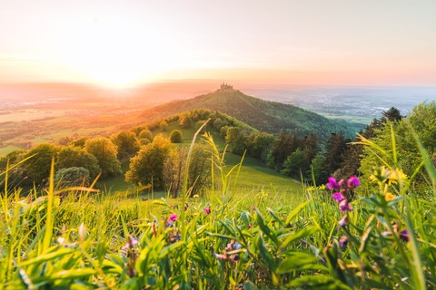 B�rlauch-Wanderung 2026 - Albstadt-Onstmettingen - 17.04.2026 17:00