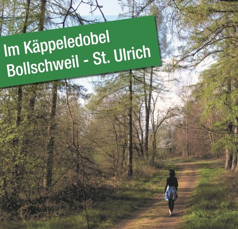 Waldbaden mit Revierf�rster Johannes Wiesler - Bollschweil - 26.06.2026 14:30