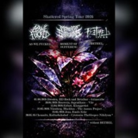 Shattered Spring Tour 2026 - As We Fucked- The Aurora Project - N�RNBERG - 22.05.2026 20:00