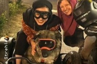 Frau, Hund, Motorradgespann