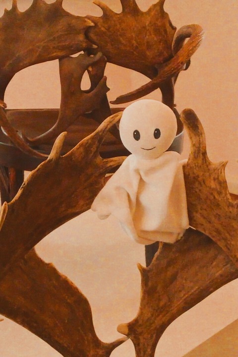 Waldemar und die Tiere im Jagdschloss Grunewald - Geschichten im Schloss mit Astrid Heiland (ab 4 Jahren) - Berlin - 29.03.2026 15:00