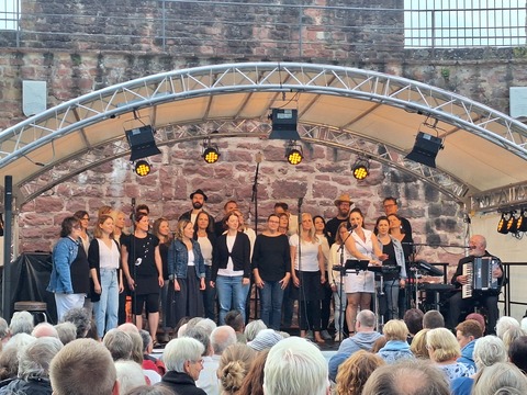 Sommerkonzert von „Voice�N�Noise“ & „Katalda Project“ - Miltenberg - 30.07.2026 19:30