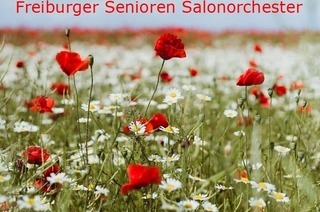 Vom Eise befreit - mit Salonmusik in den Fr�hling