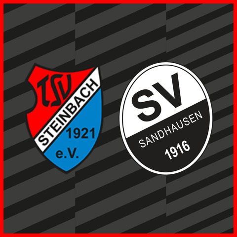 TSV Steinbach Haiger - SV Sandhausen - Haiger - 10.04.2026 19:00
