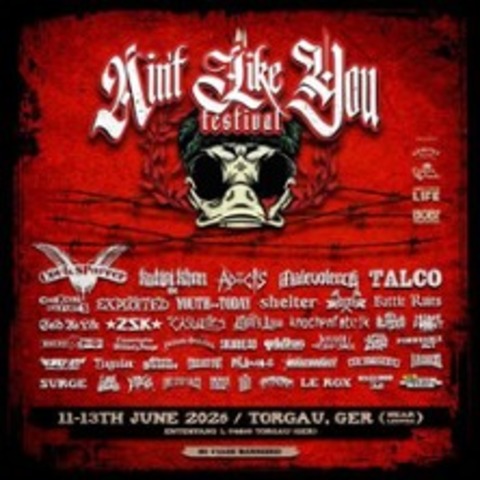 Tagesticket Freitag - Ain't Like You Festival 2026 - TORGAU - 12.06.2026 10:00