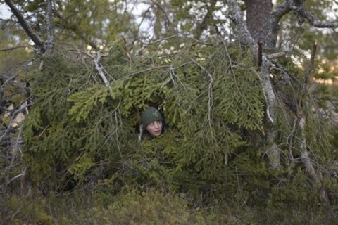 Das Fl�stern der W�lder - M�llheim - 20.03.2026 19:30