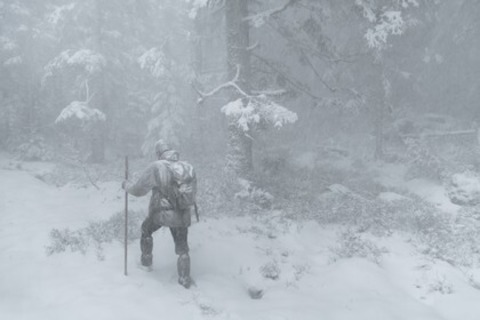 Das Fl�stern der W�lder - Villingen-Schwenningen - 22.03.2026 19:00