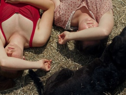 Milch ins Feuer - Waldshut-Tiengen - 25.03.2026 20:00