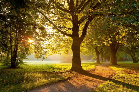 Kurparkf�hrung Bad Krozingen mit G�rtnerin Alexia Putzger - Bad Krozingen - 18.08.2026 10:00