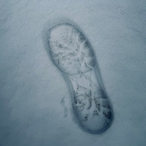 The Desperate Thespians - Welcome to the White Room - Siegen - 24.10.2026 19:00