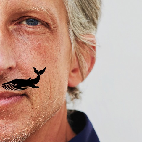 William Wahl - wahlweise - Siegen - 02.10.2026 20:00