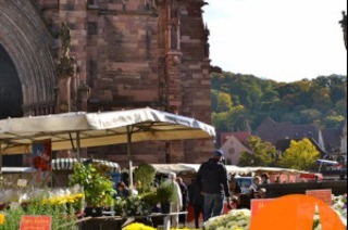 Freiburg f�r Einsteiger - �ffentliche Stadtf�hrung