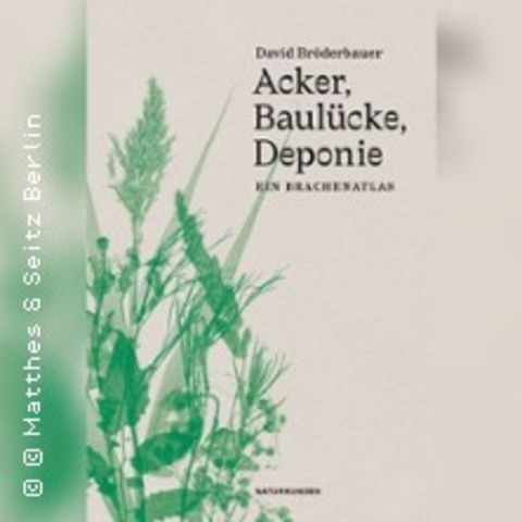 David Br�derbauer: Acker, Baul�cke, ... - HANNOVER - 04.06.2026 19:00