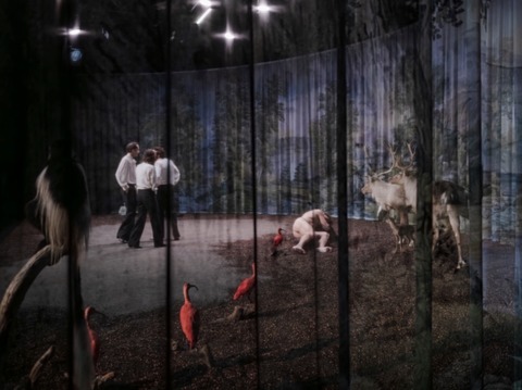 Die kleinen Meerjungraun - M�lheim an der Ruhr - 27.05.2026 19:30