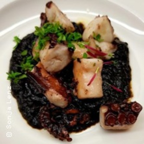 Kochkurs: Fisch & Meeresfr�chte - Stuttgart - 13.06.2026 16:00