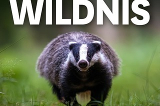 MUNDOLOGIA: Wildnis vor der Haust�r 2