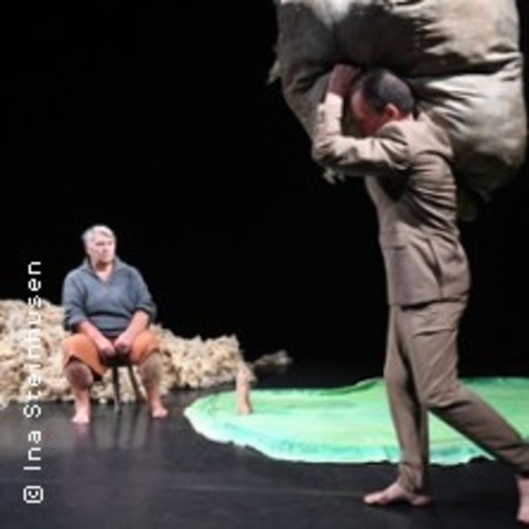 Deich ohne Schafe? - Flensburg - 24.04.2026 20:00