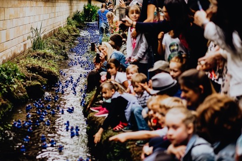 Entenrennen - Bad D�rkheim - 14.05.2026 14:30