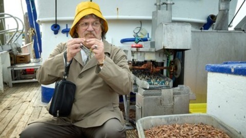 Horst Schl�mmer sucht das Gl�ck - Villingen-Schwenningen - 30.03.2026 14:30