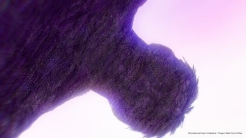 Miss Kobayashi's Dragon Maid: Ein einsamer Drache sehnt sich nach Liebe - Freiburg - 31.03.2026 19:30