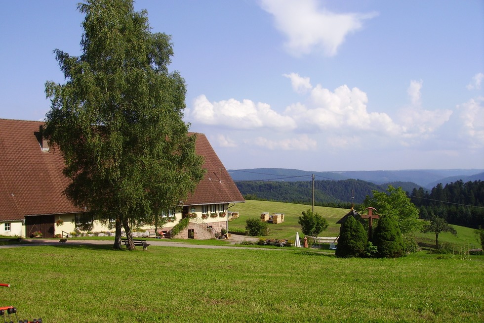 Podhaus auf dem �ckerhof - Wolfach