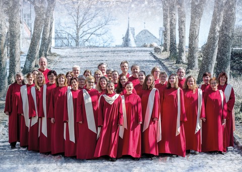 Weihnachtskonzert mit dem Gospelchor L�neburg - Bad Bevensen - 19.12.2026 19:00