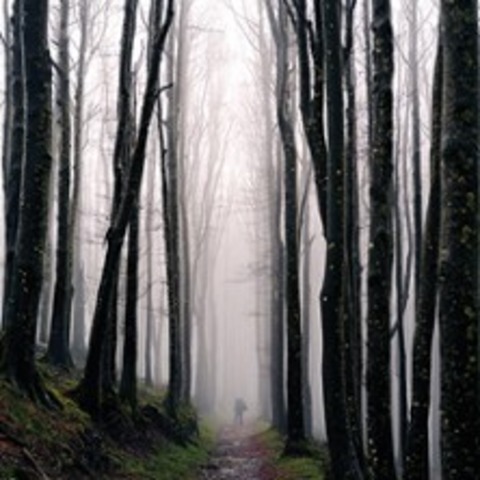 Hoch und Heilig - Pilgern in den Alpen - MIESBACH - 26.03.2026 20:00