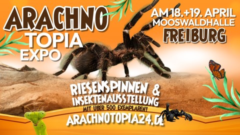 Arachnotopia - Freiburg - 18.04.2026 13:00