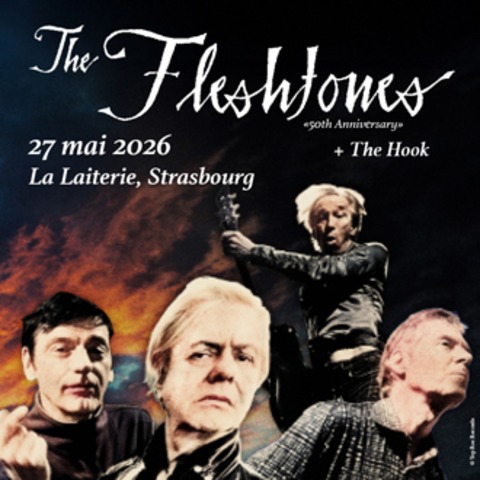 The Fleshtones + The Hook - Stra�burg - 27.05.2026 20:00