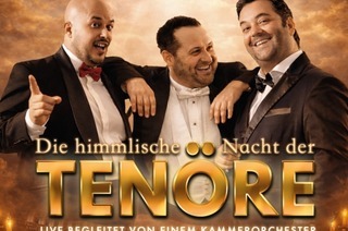 HIMMLISCHE NACHT DER TEN�RE - DAS ORIGINAL - LIVE und OHNE TECHNISCHE VERST�RKUNG