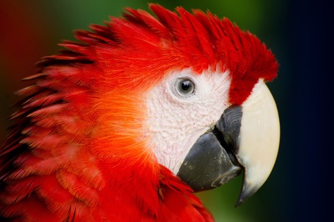 WunderWelten im Augustinum: Kolumbien - Live-Reportage von und mit Immanuel Schulz - Heidelberg - 20.09.2026 15:30