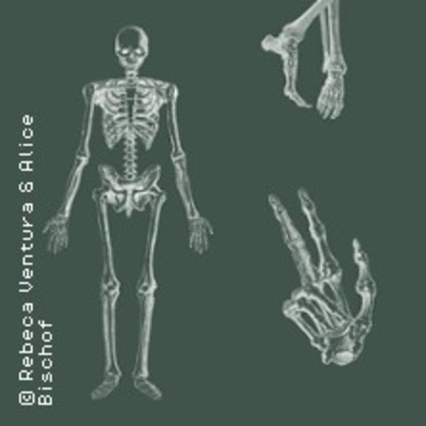 Anatomie von Auge bis Zeh - BERLIN - 24.04.2026 15:30