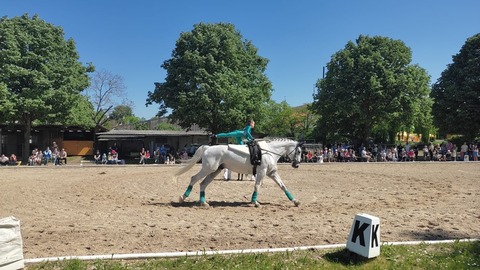 Tag der offenen T�r im RC 99 - Freiburg - 01.05.2026 11:00