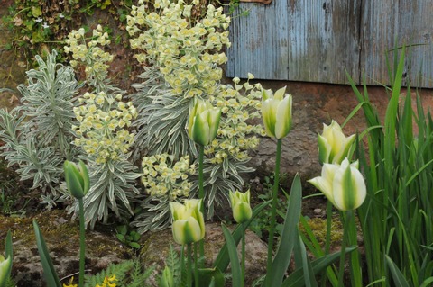 Garten ge�ffnet - Herbolzheim - 12.04.2026 13:00